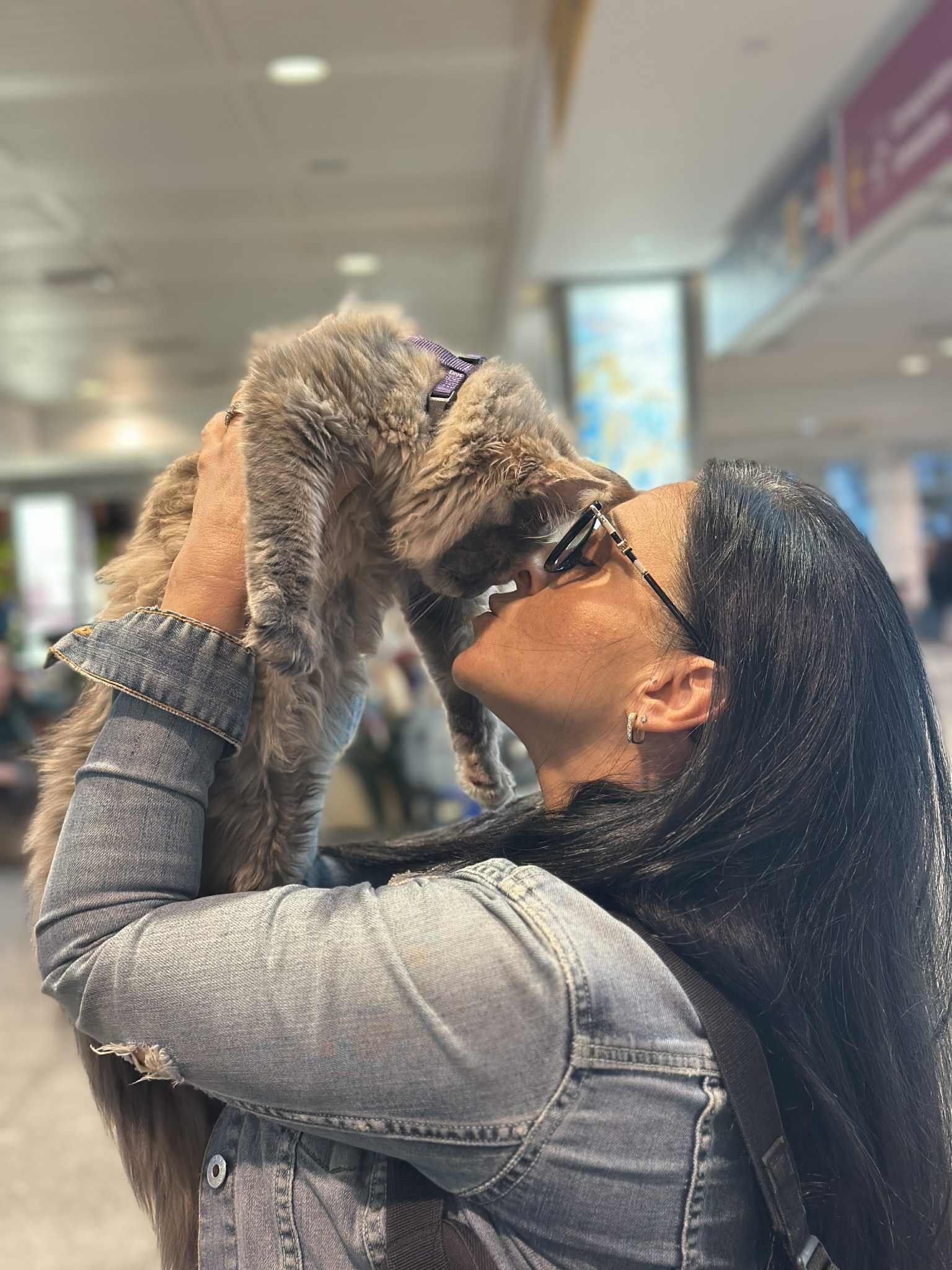 Vanessas-Maine-Coons-30